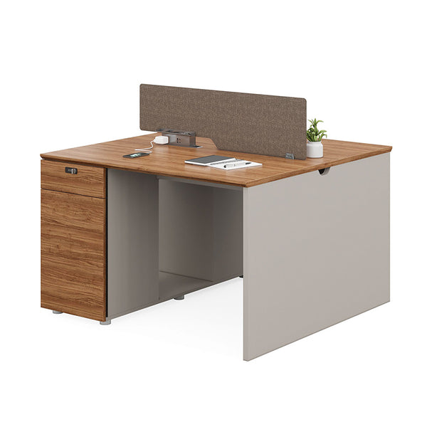 Workstation ISIS 2 postes