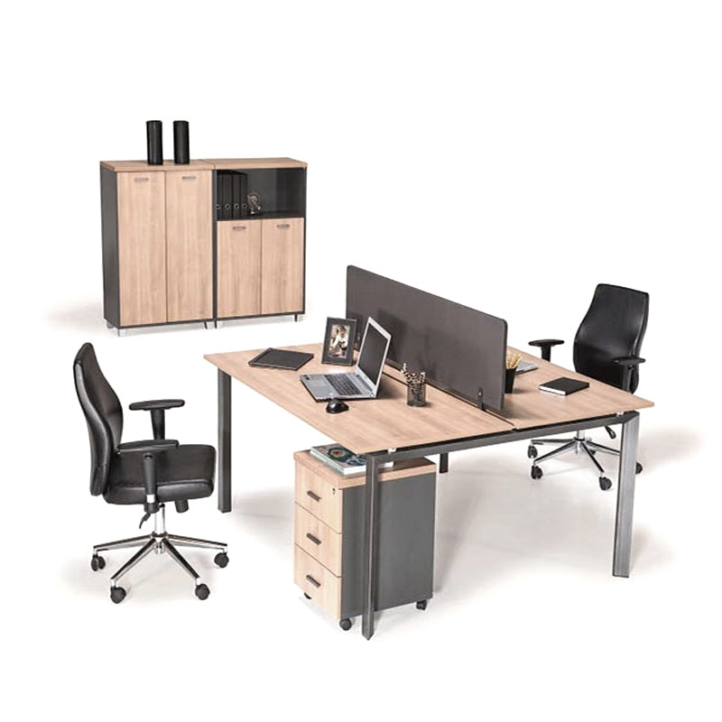 Workstation LINCOR 120C